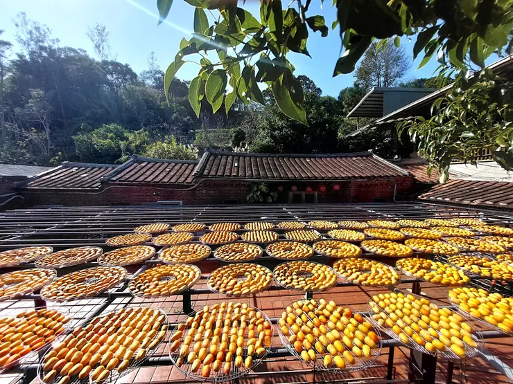 金漢柿餅教育農園