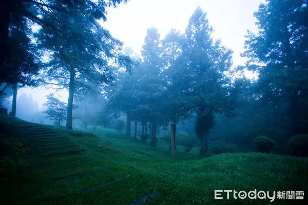 ▲▼阿里山,森林,國家風景區,森林遊樂區(圖/記者徐文彬攝)