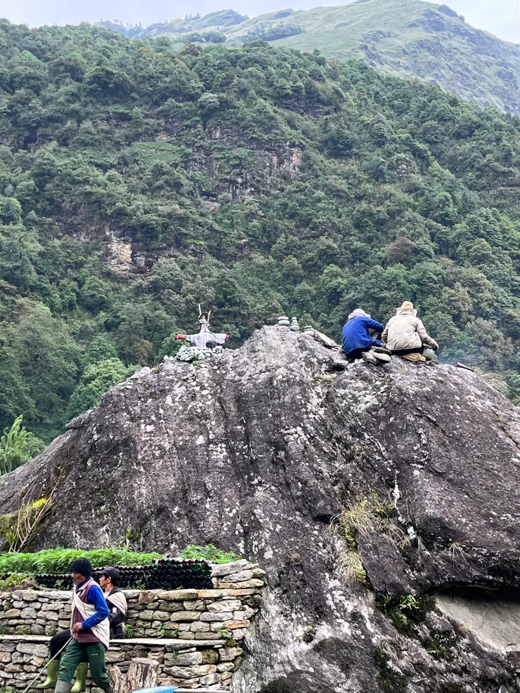 路邊看見的神秘稻草人