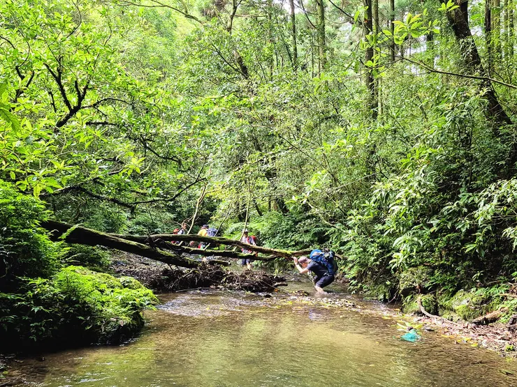 水路河道平緩，部分路段有倒木要小心通過。
