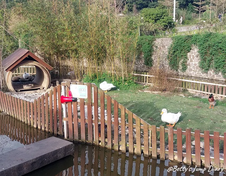 ▲大有梯田生態公園/圖片來源：Betty's Jump Diary