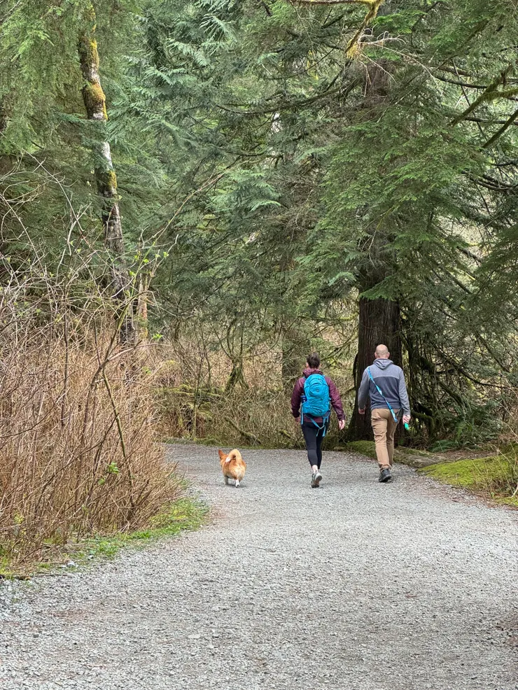 沿途旅人跟狗狗