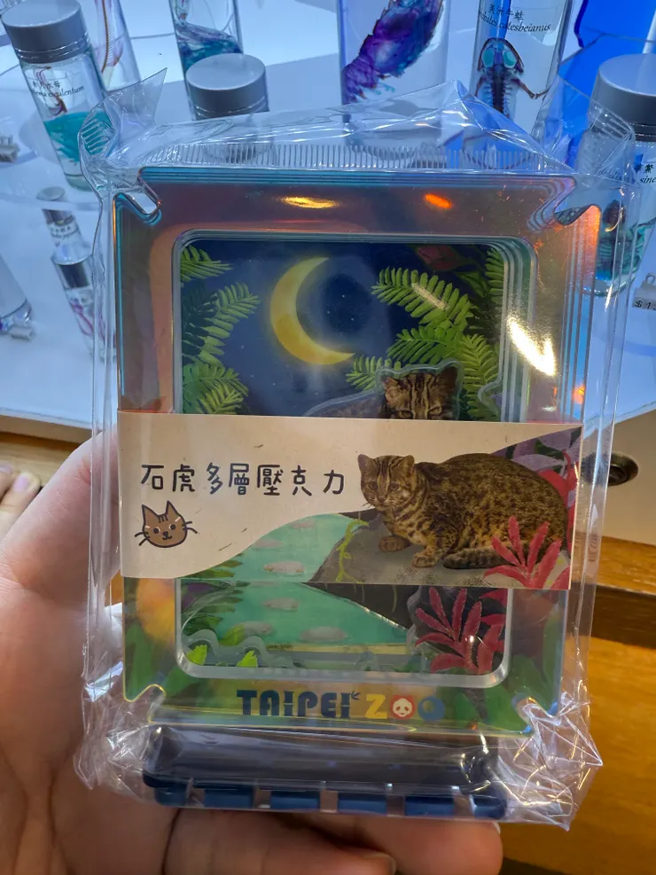 2026/02/17 很像圓仔