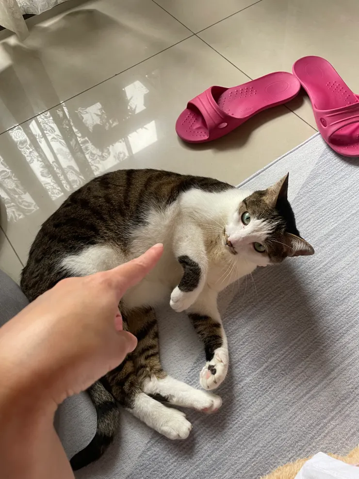 冰冰，妳今天又再爽了！