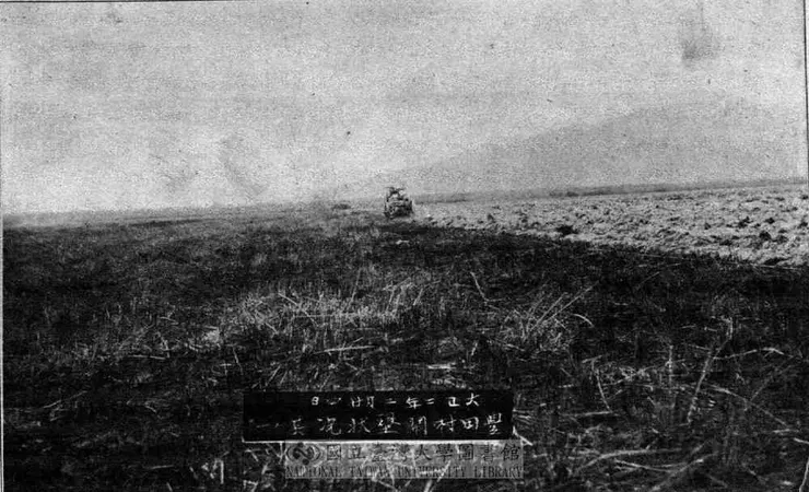 豐田村開墾景象(Source: 臺灣總督府,《官營移民事業報告書》,1919 / 公有領域)