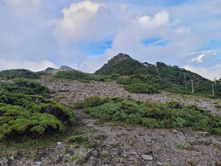 抵達魯地圖上標示的南湖中南峰位置,但為一個平台而已。前方更高的山頭才是南湖中南峰吧