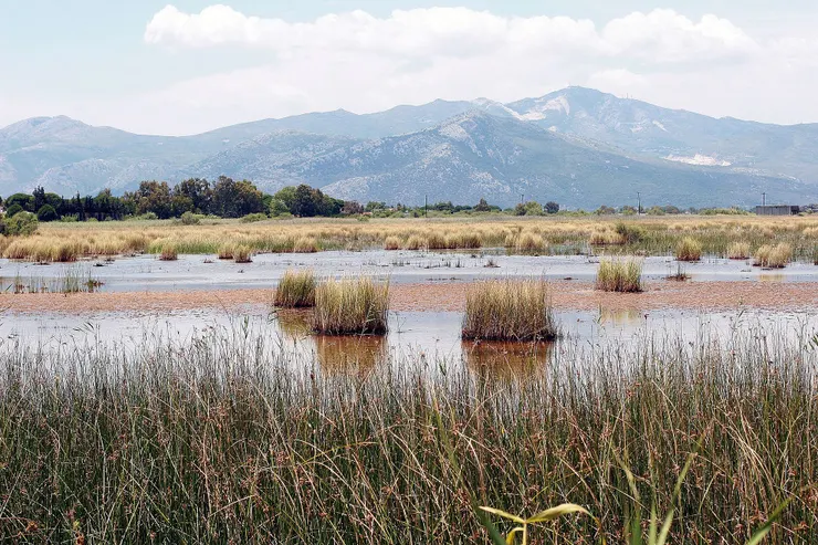 馬拉松平原實景（維基百科檔案照）