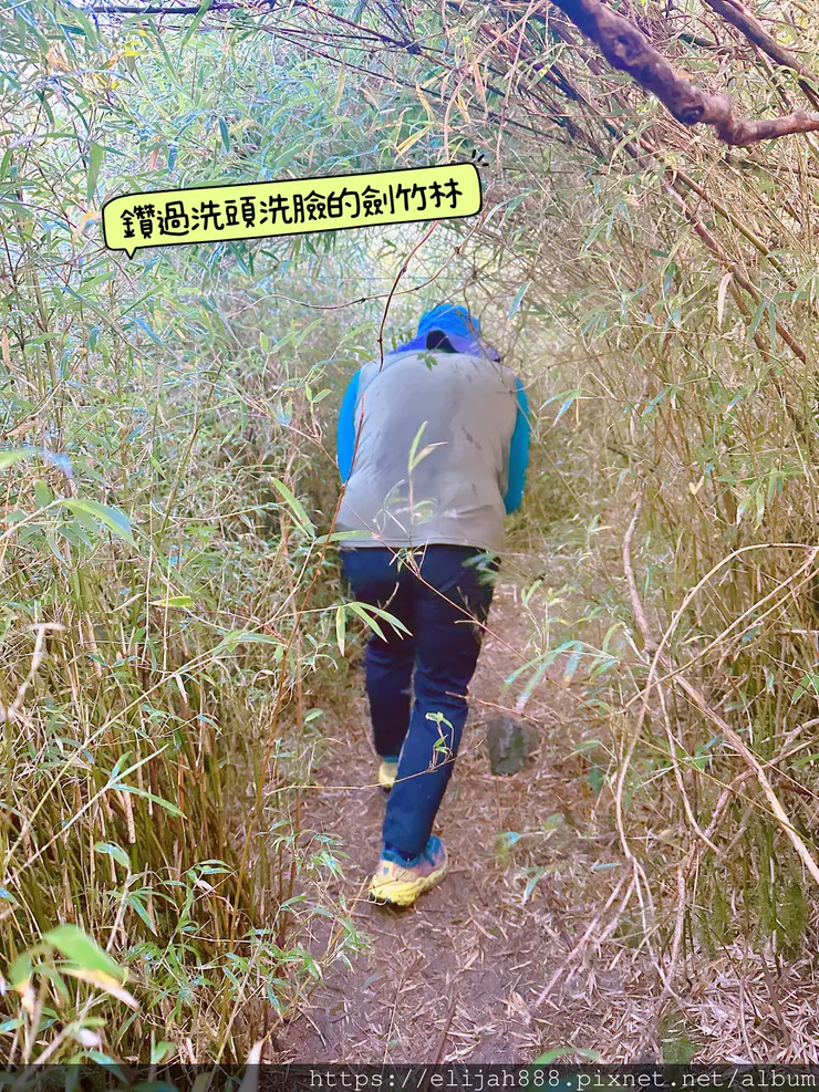 【帝王之山4天3夜】南湖大山之多加屯山/方便屋洗漱/最終日/