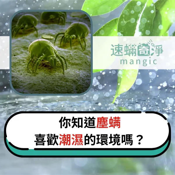塵螨過敏.除塵螨推薦.台北除塵螨推薦.新北除塵螨推薦