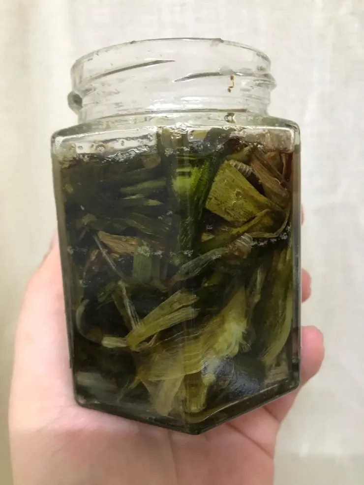 最後這罐蔥油的蔥好像有點太多，油比較少。分兩鍋煮了一個小時出頭才好