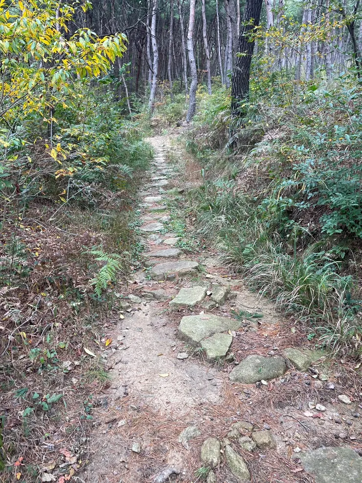 令建忠驚歎不已的南韓手作步道的高水準。(陳建忠攝影)