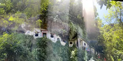 曹文的多元癡心宇宙的沙龍