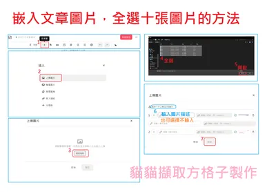【貓貓探索方格子】嵌入文章圖片，全選十張圖的方法🤣🤣🤣