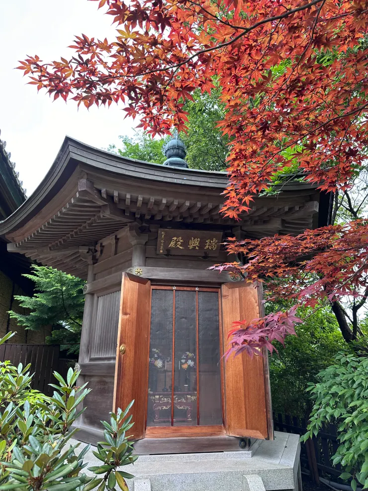 現在的八幡山也是賞楓名地，雖然還是盛夏，但我們也遇見了幾株早紅的楓