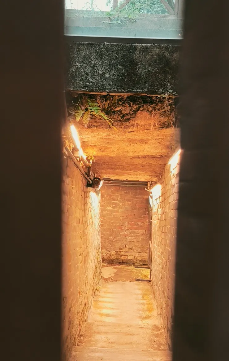 當天太晚去，錯過了體驗活動，只好拍拍照解解癮😂