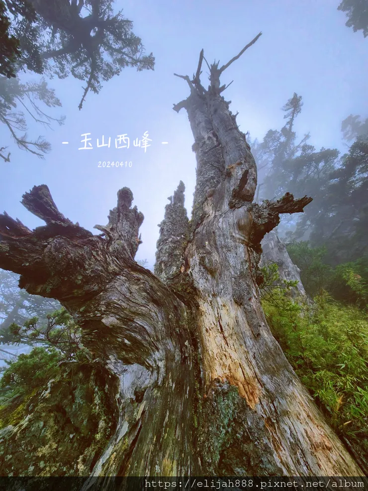 【玉山主峰西峰.兩天兩夜】排雲山莊-玉山西峰/玉山西峰神祠(