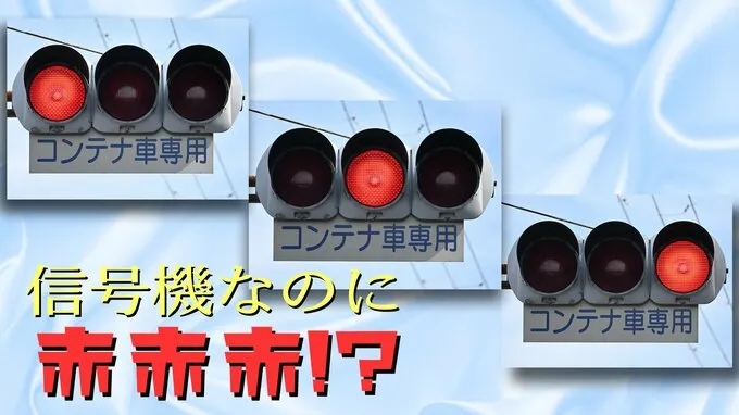 新聞所附的圖片