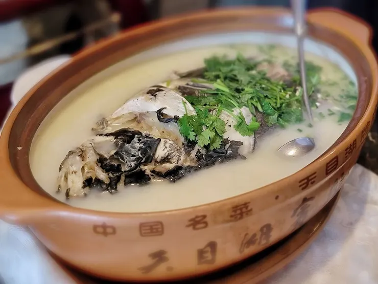 ▲朱順才師傅表示，天目湖砂鍋魚頭歷經近30年的研製，採用天目湖中花鰱魚頭，用的是甘甜的天目湖水，加入10多種佐料，以專用的砂鍋，文火久煨而成，鮮而不腥，肥而不膩，湯色乳白，原汁原味。（攝影／水靜葳環遊世界366天）