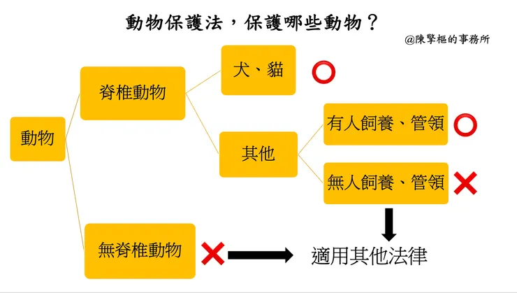 動保法保護的動物(詳細版體系圖)