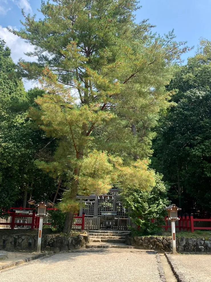 檜原神社