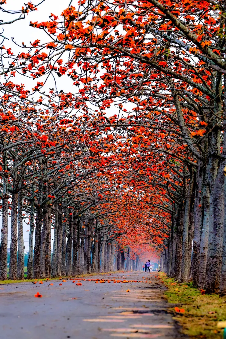 FB拍照技巧研習社，網友Kun Jai拍攝