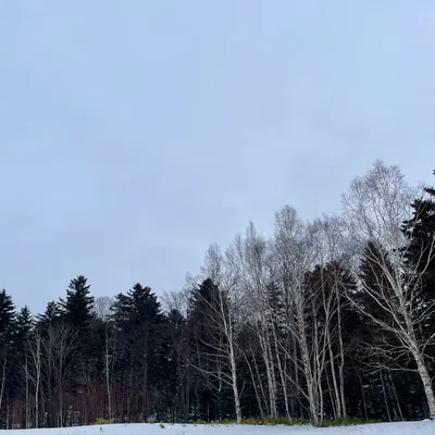 愛麗絲夢遊仙境