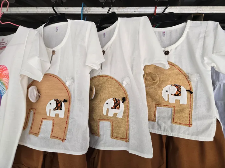 幫姪子買了一套小孩的大象衣服