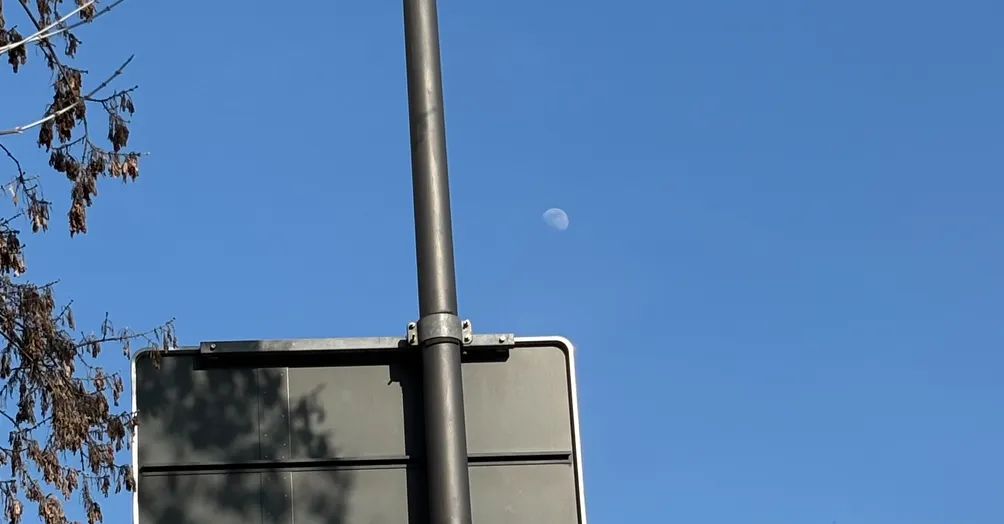 活躍格鬥士 CHIA