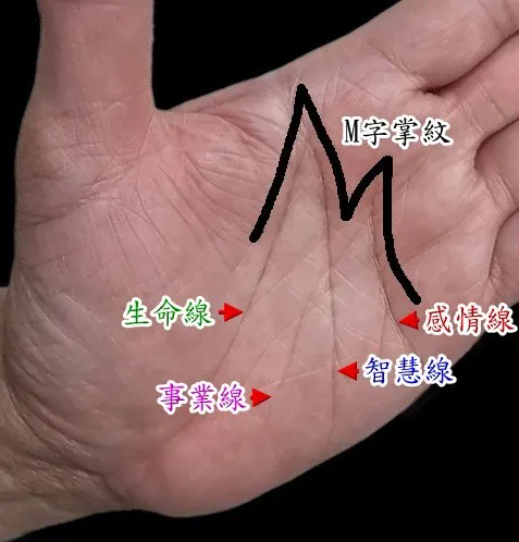 M字掌紋