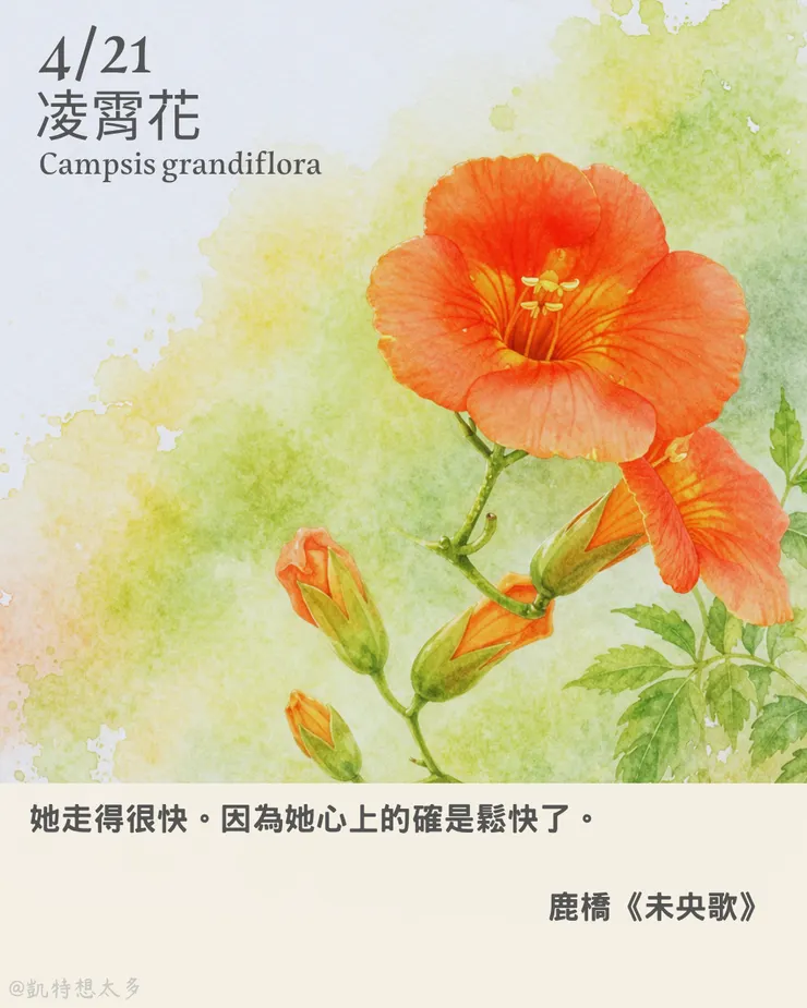 凌霄花×鹿橋《未央歌》