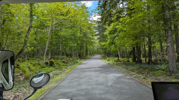 北海道真的好美，上車若睡覺就太可惜了