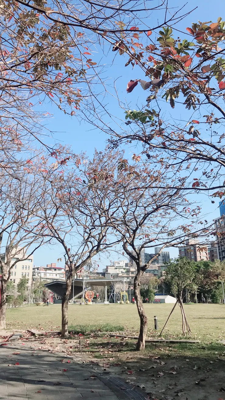 可善用公園設施來運動