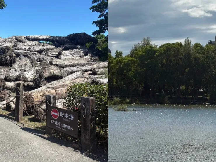 羅東林業文化園區
