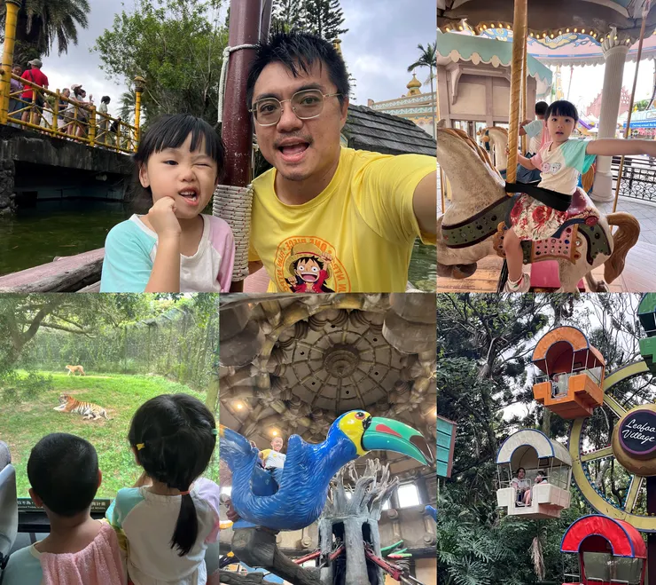 雙寶老爹006208定期定額記錄,2024年10月