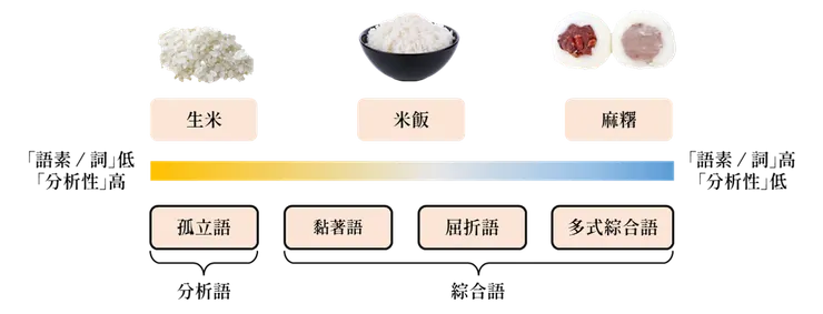 圖二：語言的分析性光譜