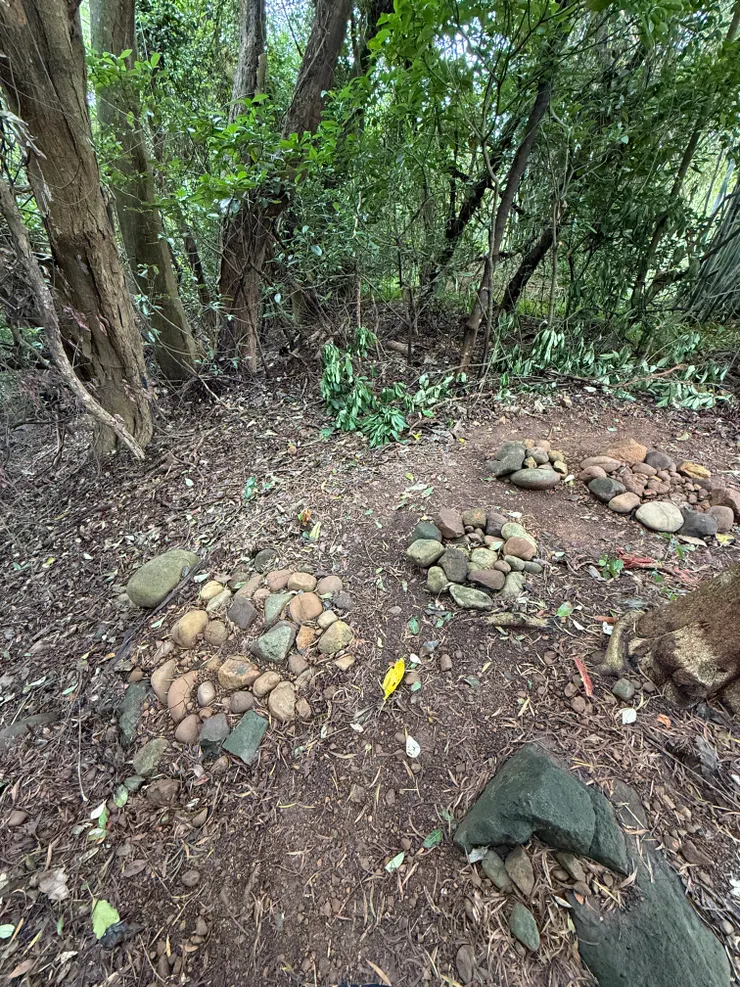 2026/02/01 大家一起排排站