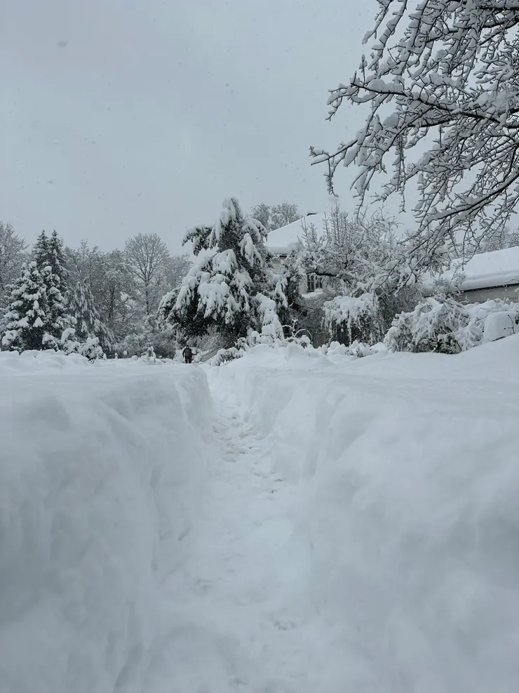 到附近的玫瑰園走走，玫瑰在哪裡呢？