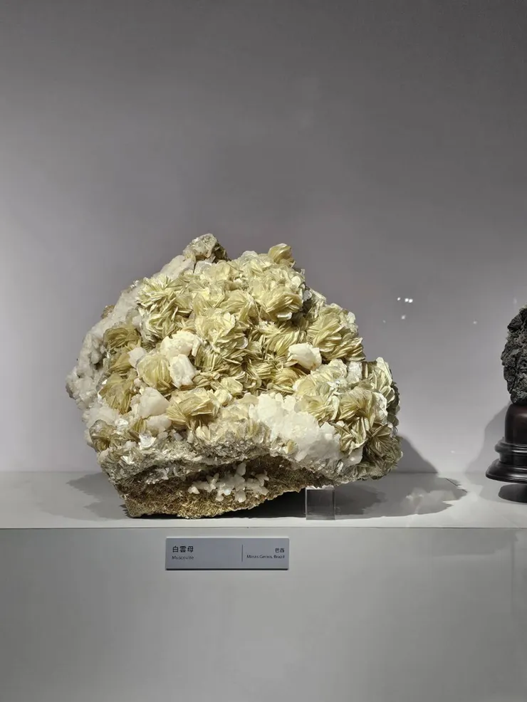 白雲母(巴西)
