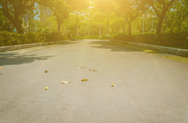 午正時光，已如盛夏