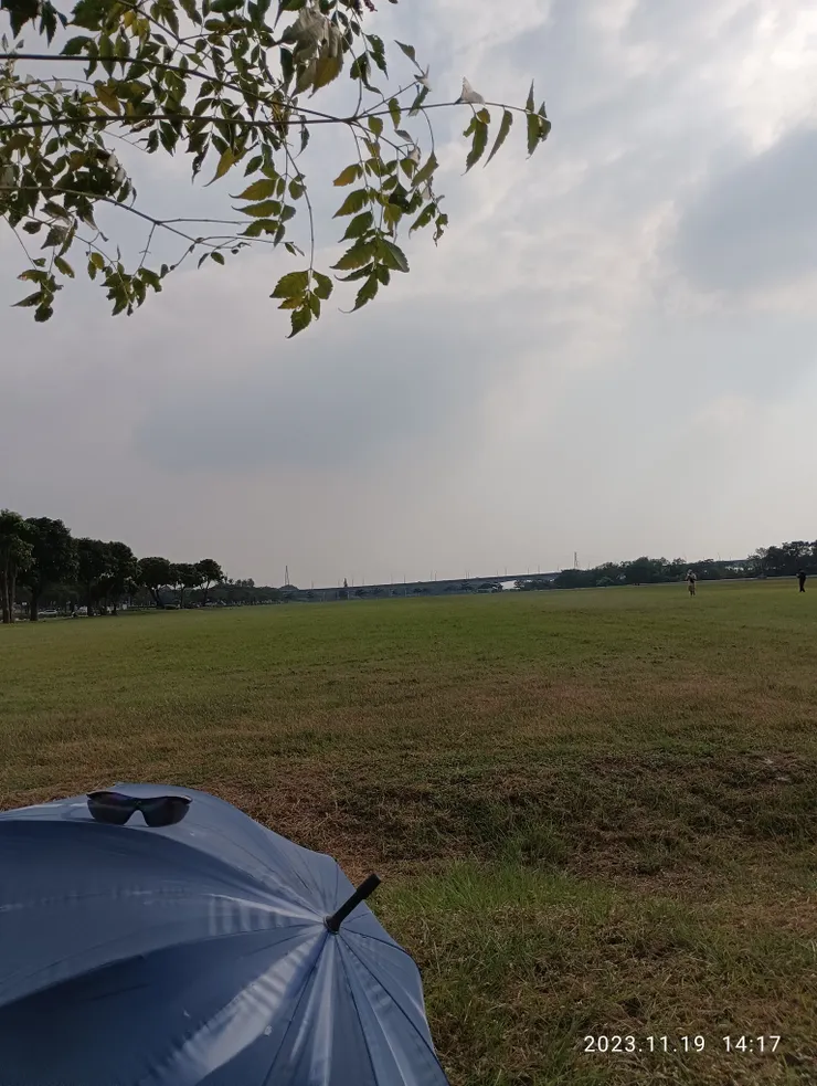 日中，傘撐，草原漫行，心也如初生，自拍