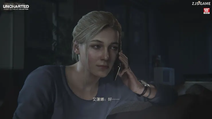 艾蓮娜‧費許（Elena Fisher）本作女主角已與奈森結婚。起初相信奈森前往馬來西亞工作，後來發現了奈森偷偷尋找寶藏並當面對質。兩人吵架後艾蓮娜雖然傷心離開，但後來於奈森遇到危險時前來營救。