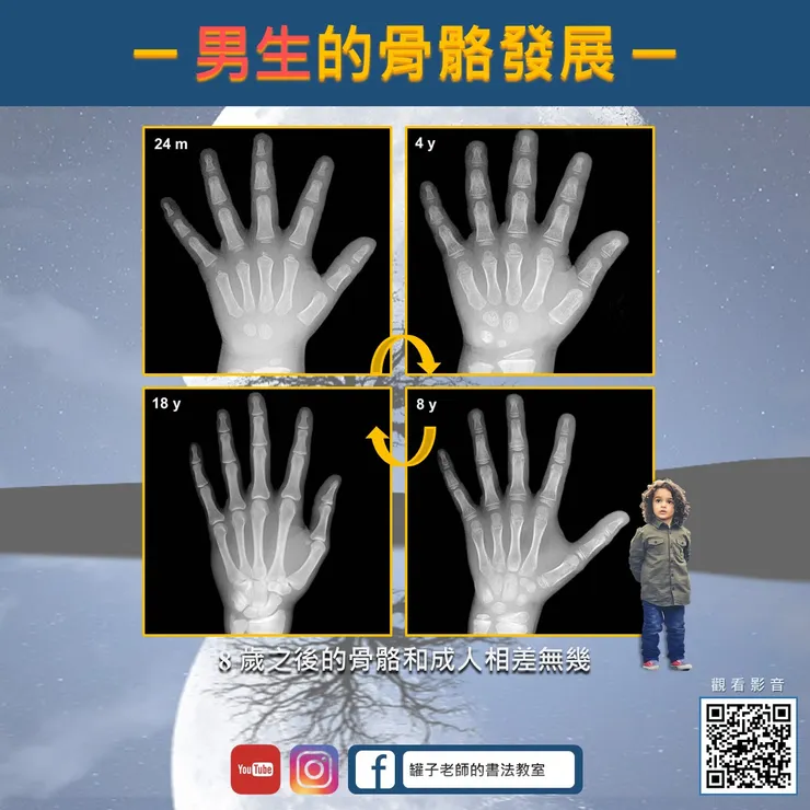男童的骨骼發展