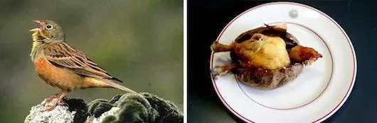 圖片來源：壹讀