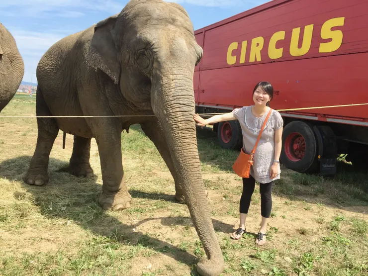 懷孕時就去看了第一場