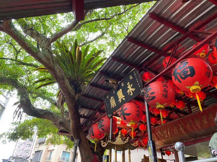 廟前巨大的榕樹，名為擎天樹