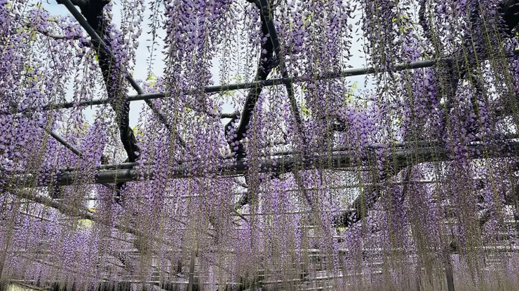 實在很不像真實場景。