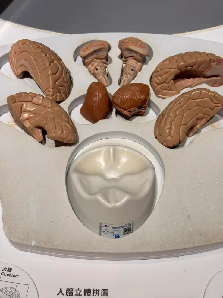 看了也不懂的"提示"有夠難