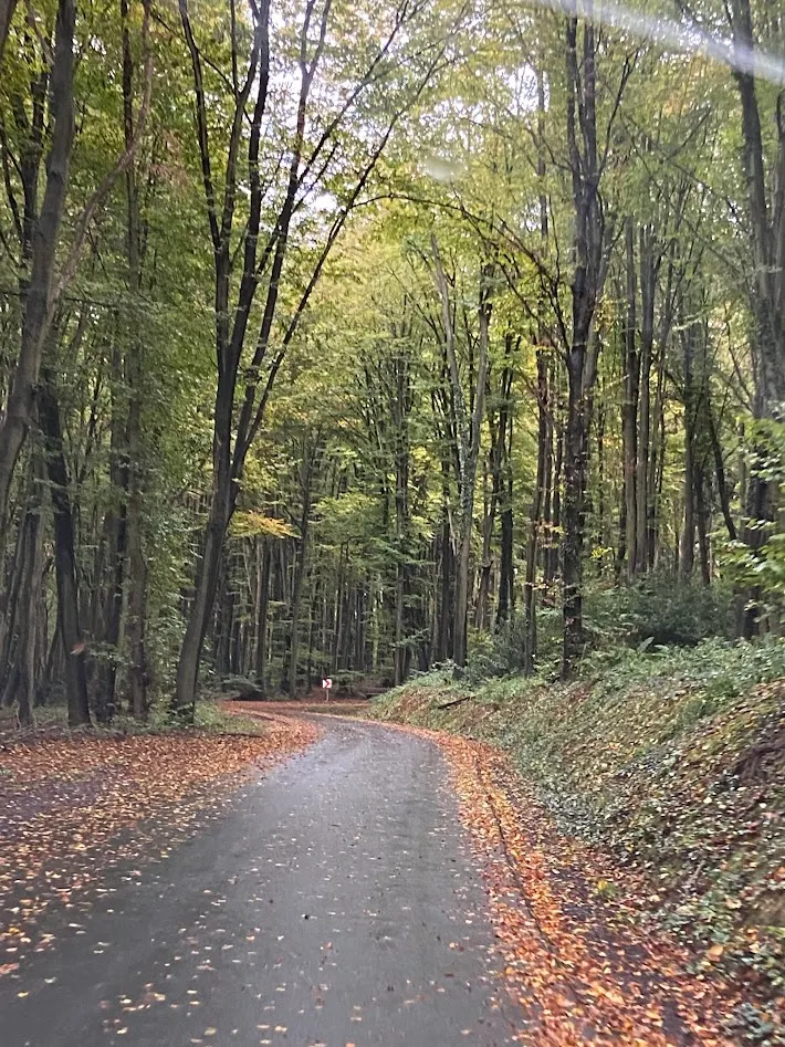 山腰部分的道路