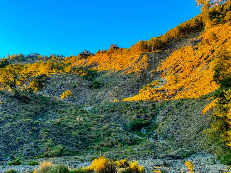 正在取水的隊友~