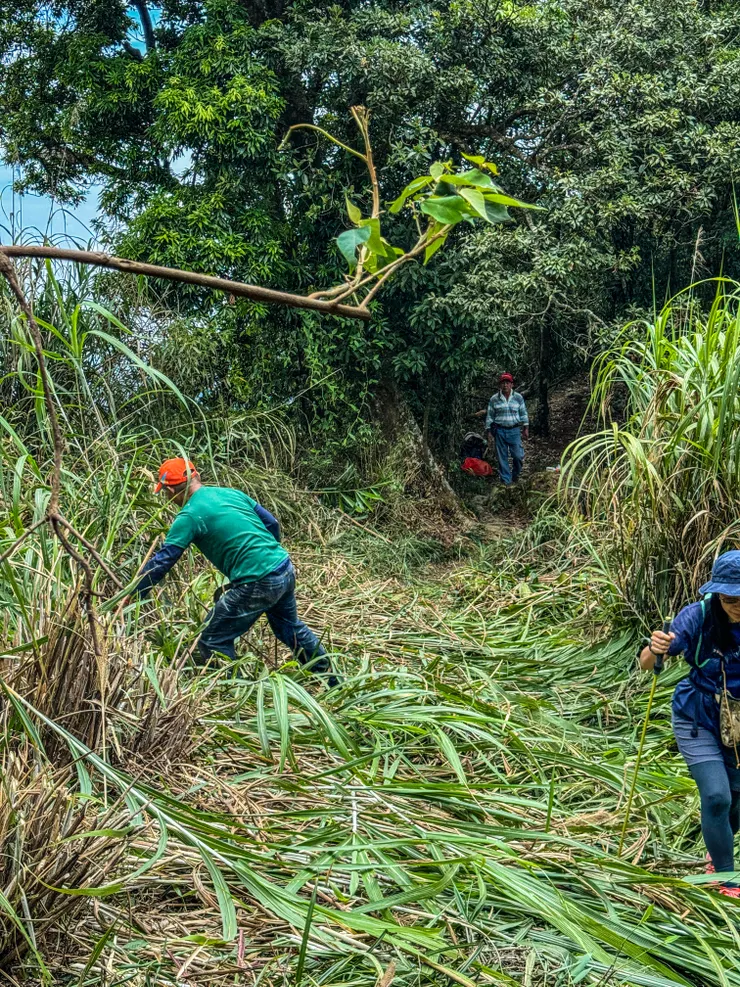 志工大哥們正忙著砍草。